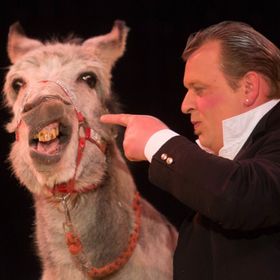 Bild: Circus Carelli - Neumarkt in der Oberpfalz