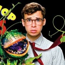 Bild: Der kleine Horrorladen - Kammertheater Karlsruhe