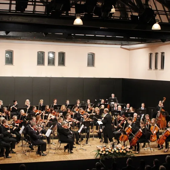 Bild: Kammerorchester Laupheim