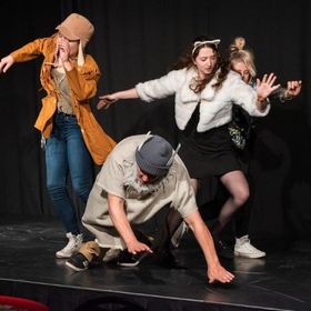 Bild: Die Bamberger Stadtmusikanten - TAM-Theater