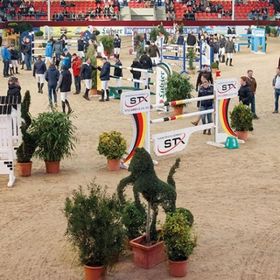 Bild: Internationales Reitturnier Neustadt-Dosse