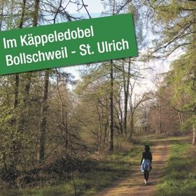 Bild: Waldbaden - Bollschweil