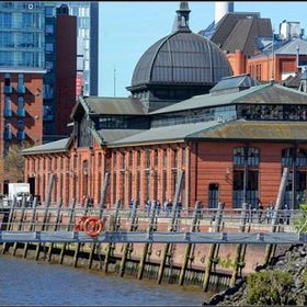 Bild: Helbing Matjes Festival - Matjes satt, bis nix mehr geht!