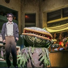 Bild: Der kleine Horrorladen - Landestheater Detmold