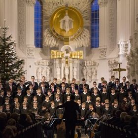 Bild: Weihnachtskonzert - Würzburger Domsingknaben