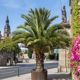 Bild: 1-stündiger Stadtrundgang - Fulda