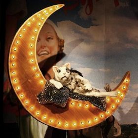 Bild: Die Bremer Stadtmusikanten - Theater Laboratorium