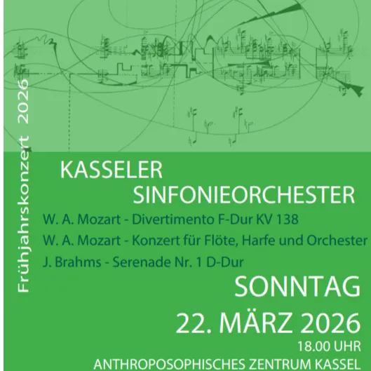 Bild: Kasseler Sinfonieorchester