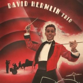 Bild: The David Hermlin Trio