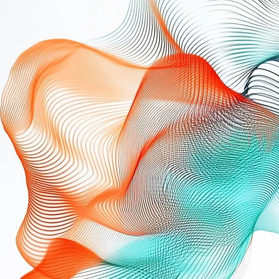 Bild: Festival Musica Viva - Osnabrück