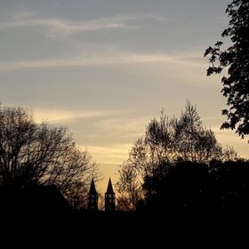 Bild: Konzerte Martinskirche Kassel