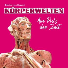 Bild: Körperwelten Dresden - Am Puls der Zeit