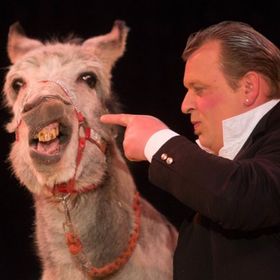 Bild: Circus Carelli - Weiden in der Oberpfalz