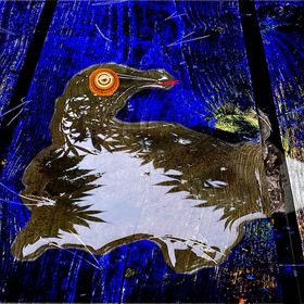 Bild: Die Steilküster von Porto Kystral - Wolfgang Krause Zwieback