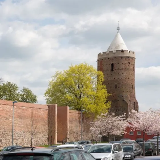 Bild: Türme in Prenzlau