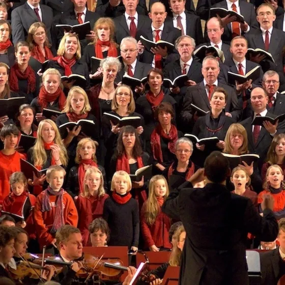 Bild: Neues Kammerorchester Potsdam