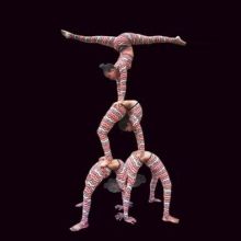 Bild: Circus Gebrüder Barelli - Bad Vilbel