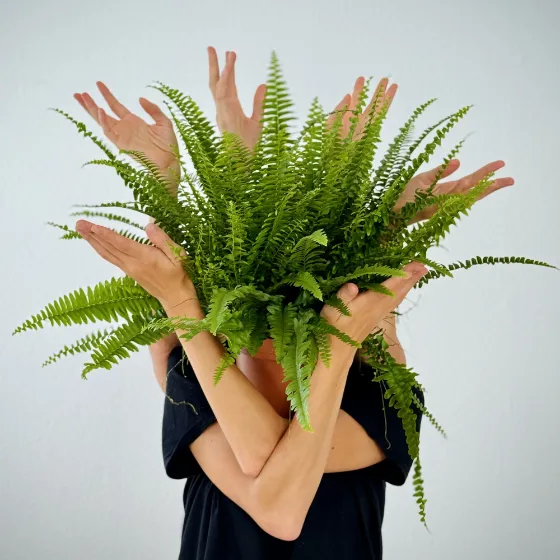 Bild: Kongress der Pflanzen