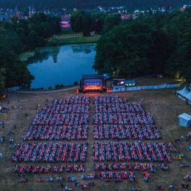 Bild: Sommerrausch im Seegarten