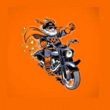 Bild: Magic Bike Rüdesheim