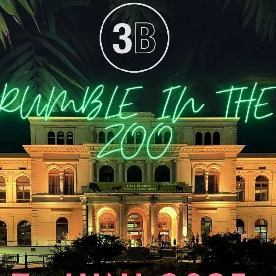 Bild: Boxen Live - Profi Fightnight!