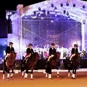 Bild: Symphonie der Hengste