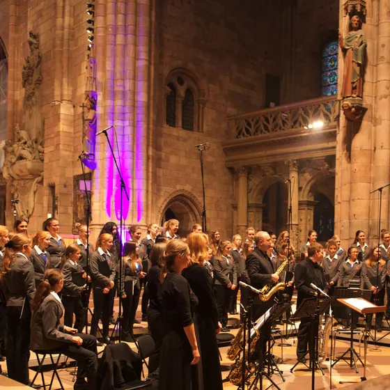 Bild: Münsterkonzert der Freiburger Dommusik