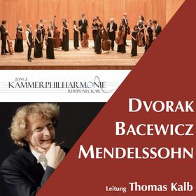 Bild: Junge Kammerphilharmonie Rhein-Neckar