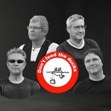 Bild: Don‘t feed the Ducks