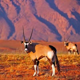 Bild: Multivisionsvorträge - Erwin Hymer Museum