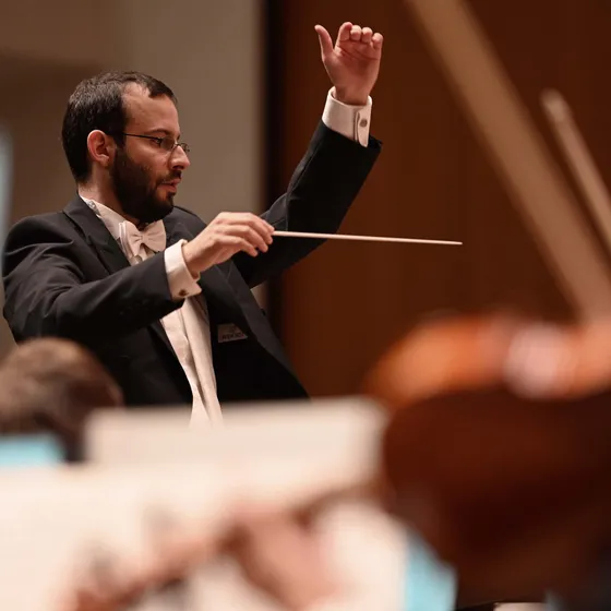 Bild: Neujahrskonzert - Philharmonisches Orchester der Stadt Ulm
