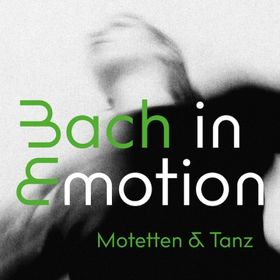 Bild: Landesjugendchor Sachsen