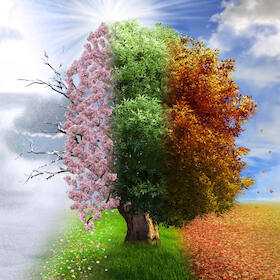 Bild: Familienkonzert 3 - Vier Jahreszeiten