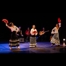 Bild: Flamenco