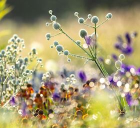 Bild: Der Foto-Workshop im Oktober