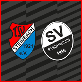 Bild: TSV Steinbach Haiger - SV Sandhausen