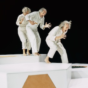 Bild: Die Biene im Kopf  [8+]