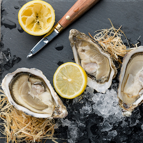 Bild: Edutainment - Austernseminar