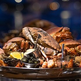 Bild: Edutainment - Krustentier Stammtisch