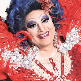 Bild: Die Regenbogenhummel: Gänseblümchen