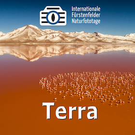 Bild: Terra