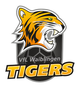 Bild: Rostocker Handball Club - VfL Waiblingen