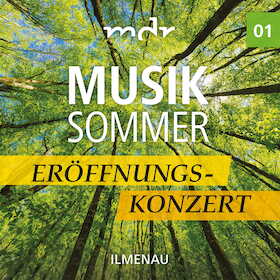 Bild: Eröffnungskonzert Musiksommer 2026