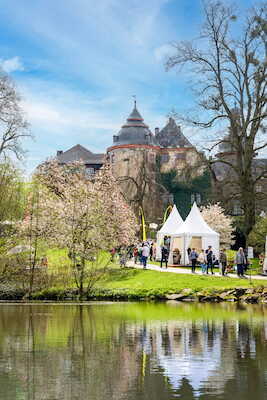 Bild: Das Gartenfest Laubach