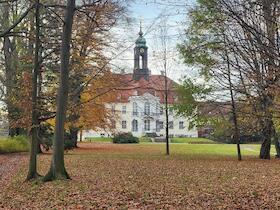 Bild: Ganz klassisch - Streichquartett