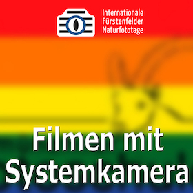 Bild: WS Filmen mit Systemkamera