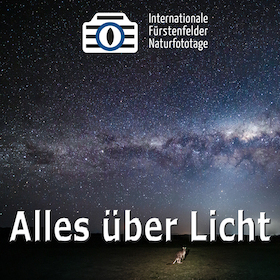 Bild: WS Alles über Licht