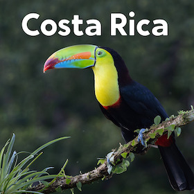 Bild: Costa Rica - Naturparadies zwischen Karibik und Pazifik