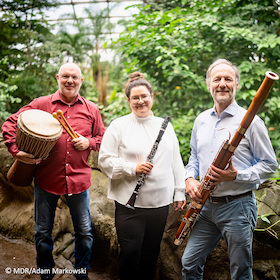 Bild: Über den Wipfeln II