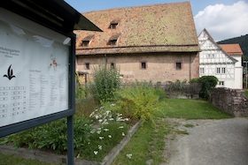 Bild: Kräuterkunde einst und heute